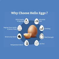 Hello Brown Eggs (Pack of 6)