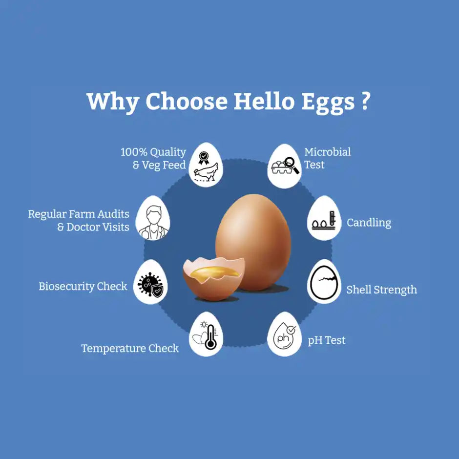Hello Brown Eggs (Pack of 6)