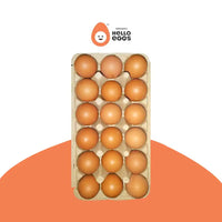 Hello Brown Eggs (Pack of 18)