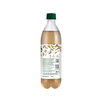Paper Boat Zero Sugar Jeera Sparkling Water