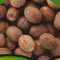 TMI COLMAN Jayphal Nutmeg (Whole) 50g Pouch
