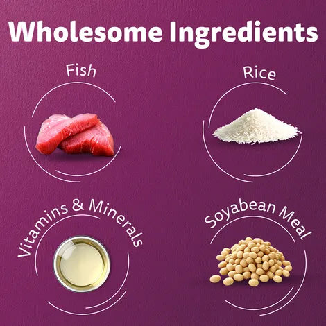 Whiskas Adult Ocean Fish Flavour Dry Cat Food