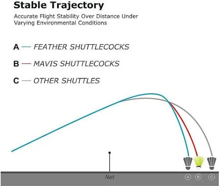 Yonex Feather Shuttlecock (Silver)