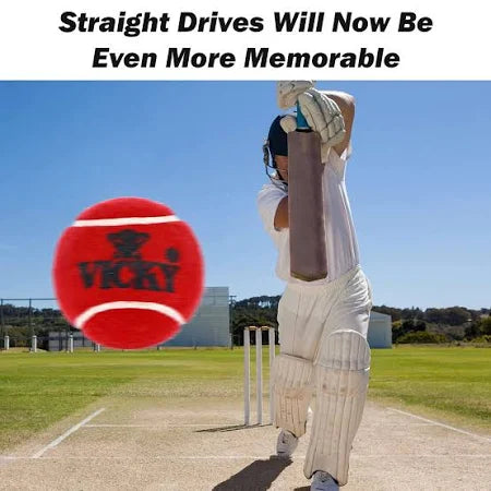 Vicky Heavy Tennis Ball