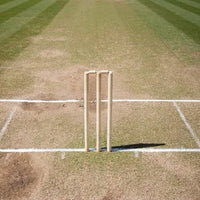 Zike Wooden Cricket Stumps with Bails