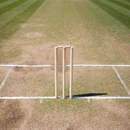 Zike Wooden Cricket Stumps with Bails